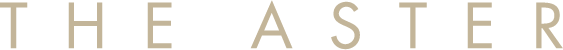 The Aster Logo